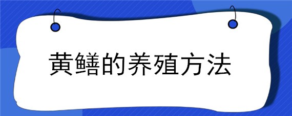 黄鳝的养殖方法