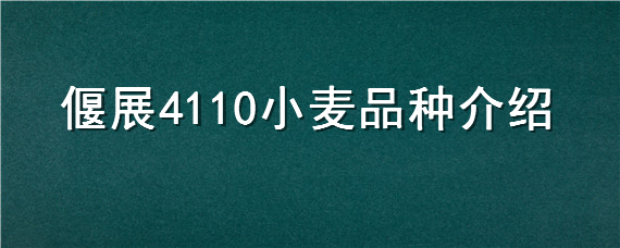 偃展4110小麦品种介绍