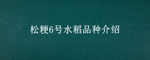 松粳6号水稻品种介绍