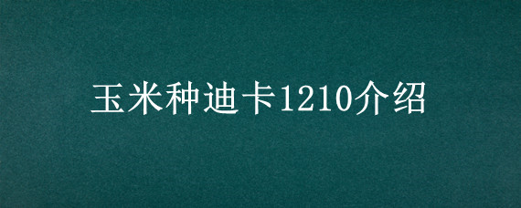 玉米种迪卡1210介绍