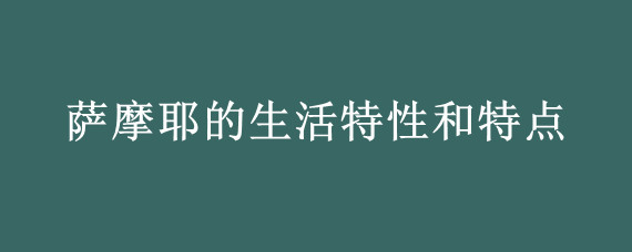 萨摩耶的生活特性和特点