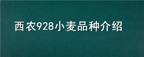 西农928小麦品种介绍"