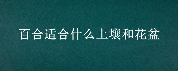 百合适合什么土壤和花盆