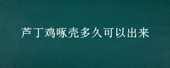 芦丁鸡啄壳多久可以出来