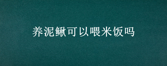 养泥鳅可以喂米饭吗