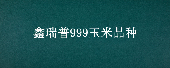 鑫瑞普999玉米品种