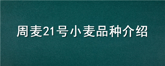 周麦21号小麦品种介绍