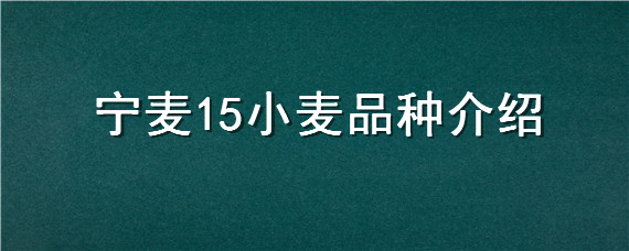 宁麦15小麦品种介绍"