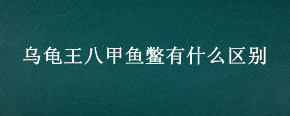 乌龟王八甲鱼鳖有什么区别