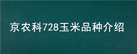 京农科728玉米品种介绍