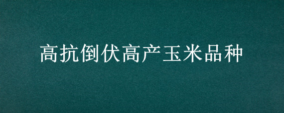 高抗倒伏高产玉米品种