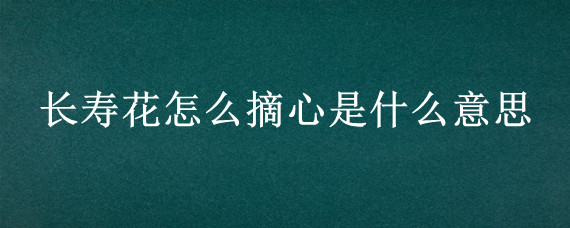 长寿花怎么摘心是什么意思