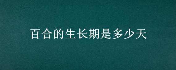 百合的生长期是多少天