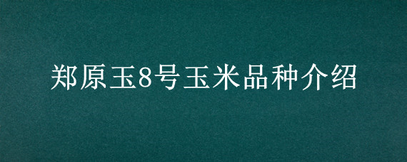 郑原玉8号玉米品种介绍