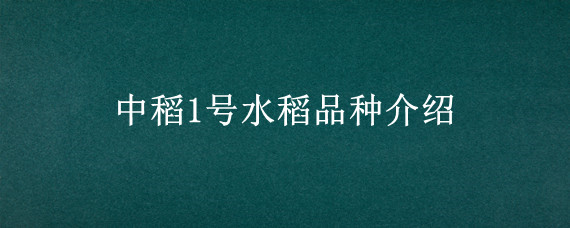 中稻1号水稻品种介绍