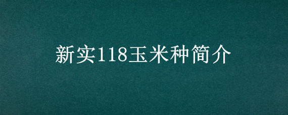 新实118玉米种简介