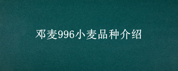 邓麦996小麦品种介绍