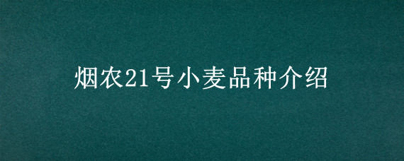 烟农21号小麦品种介绍