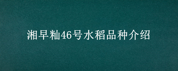 湘早籼46号水稻品种介绍