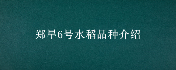 郑旱6号水稻品种介绍