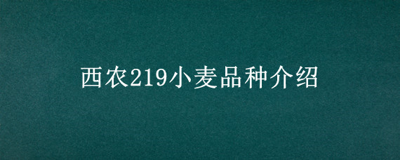 西农219小麦品种介绍