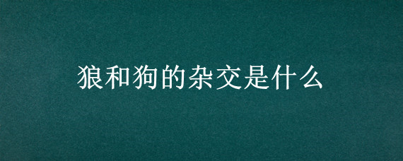 狼和狗的杂交是什么