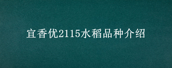 宜香优2115水稻品种介绍