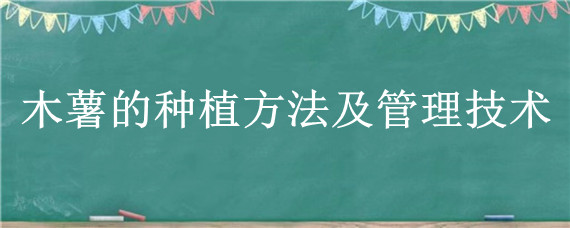 木薯的种植方法及管理技术