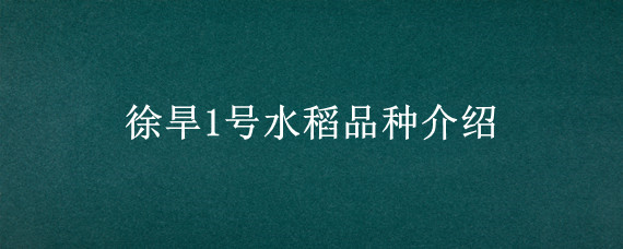 徐旱1号水稻品种介绍