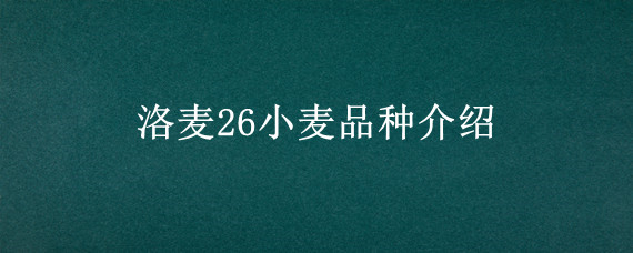 洛麦26小麦品种介绍