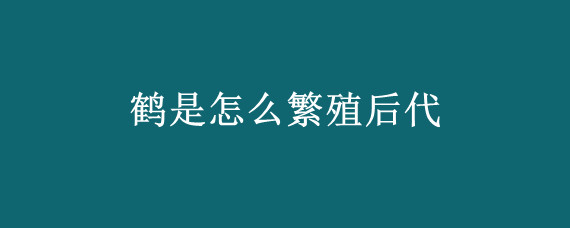 鹤是怎么繁殖后代