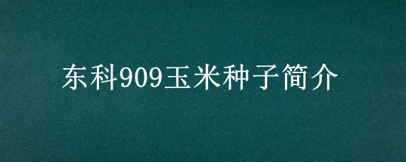 东科909玉米种子简介