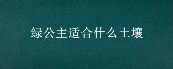 绿公主适合什么土壤