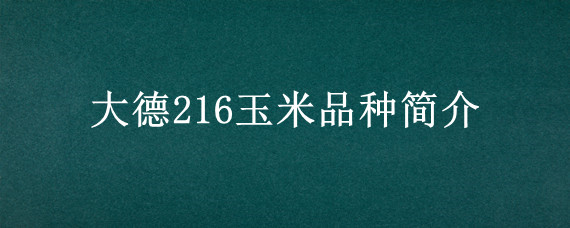 大德216玉米品种简介