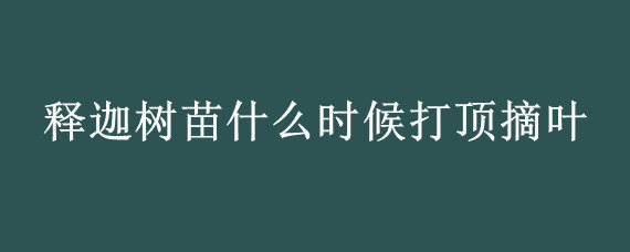 释迦树苗什么时候打顶摘叶