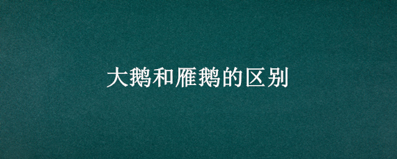 大鹅和雁鹅的区别"