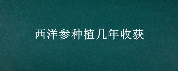 西洋参种植几年收获"