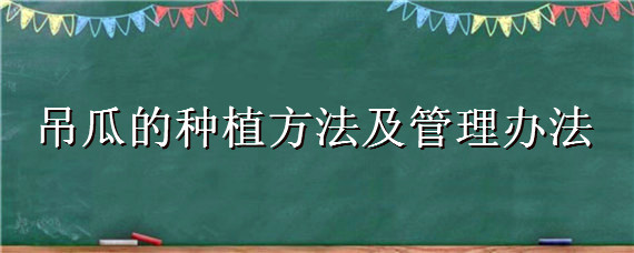 吊瓜的种植方法及管理办法"