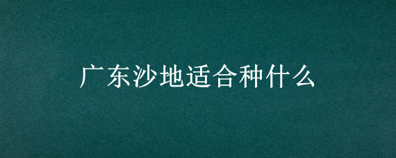 广东沙地适合种什么