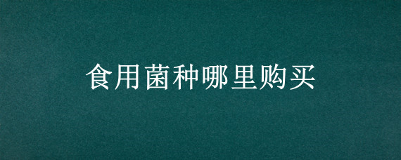 食用菌种哪里购买"