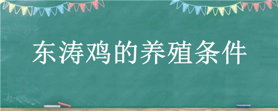 东涛鸡的养殖条件"