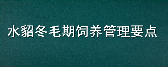 水貂冬毛期饲养管理要点"