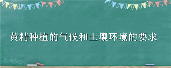 黄精种植的气候和土壤环境的要求"