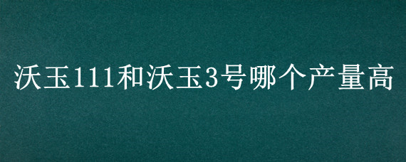 沃玉111和沃玉3号哪个产量高