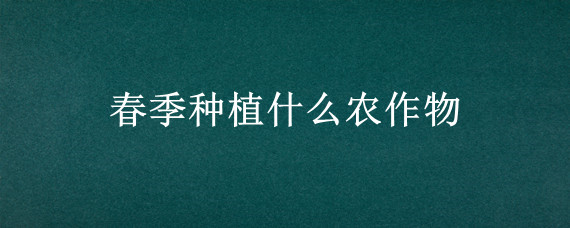 春季种植什么农作物"