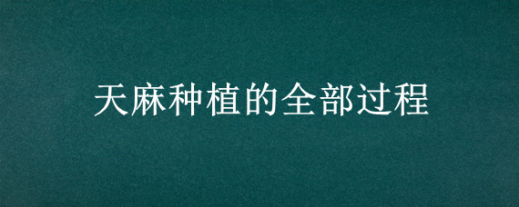 天麻种植的全部过程"