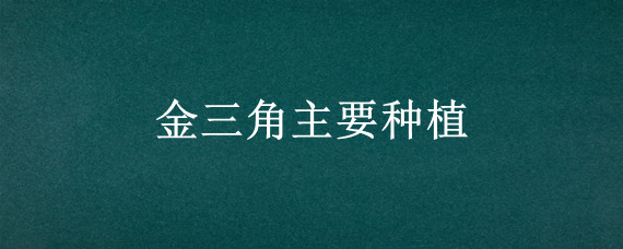 金三角主要种植"