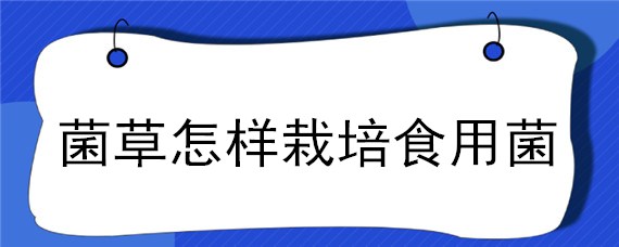 菌草怎样栽培食用菌"