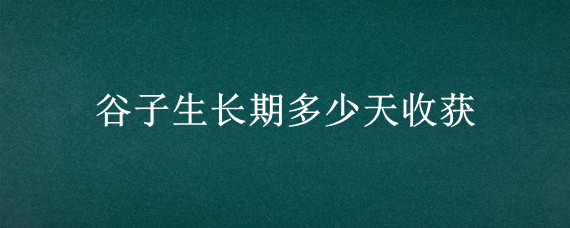 谷子生长期多少天收获"