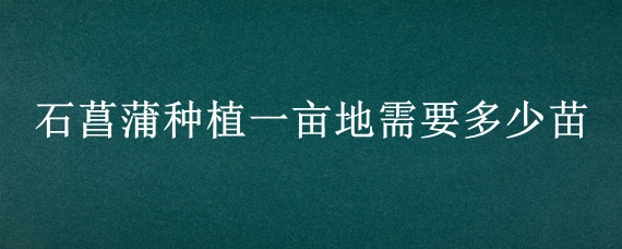 石菖蒲种植一亩地需要多少苗"